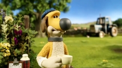 بره ناقلا (عینک مزرعه دار)